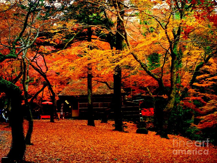 Japan autumn fantacy Photograph by Kumiko Mayer