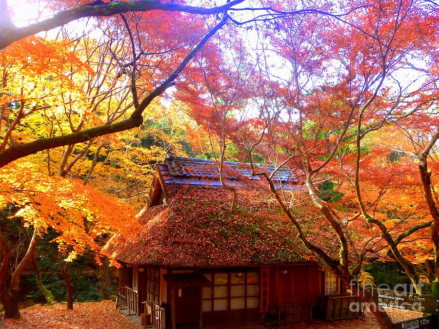 Japan autumn fantasy Photograph by Kumiko Mayer