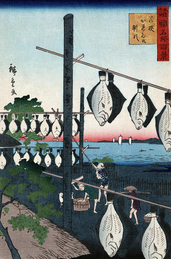 Japan Drying Fish, 1859 Painting by Granger | Fine Art America