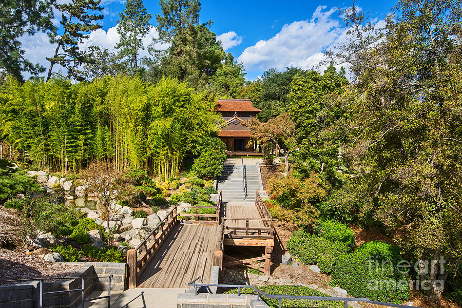 Tree Photograph - Japan in Pasadena - Beautiful view of the newly renovated Japanese Garden in the Huntington Library. by Jamie Pham