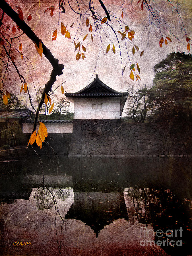 Japanese Autumn Photograph by Eena Bo
