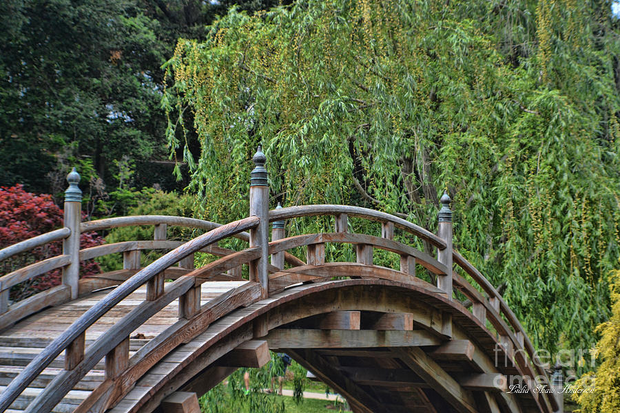 Japanese Bridge 3 Photograph by Lidia Anderson - Fine Art America