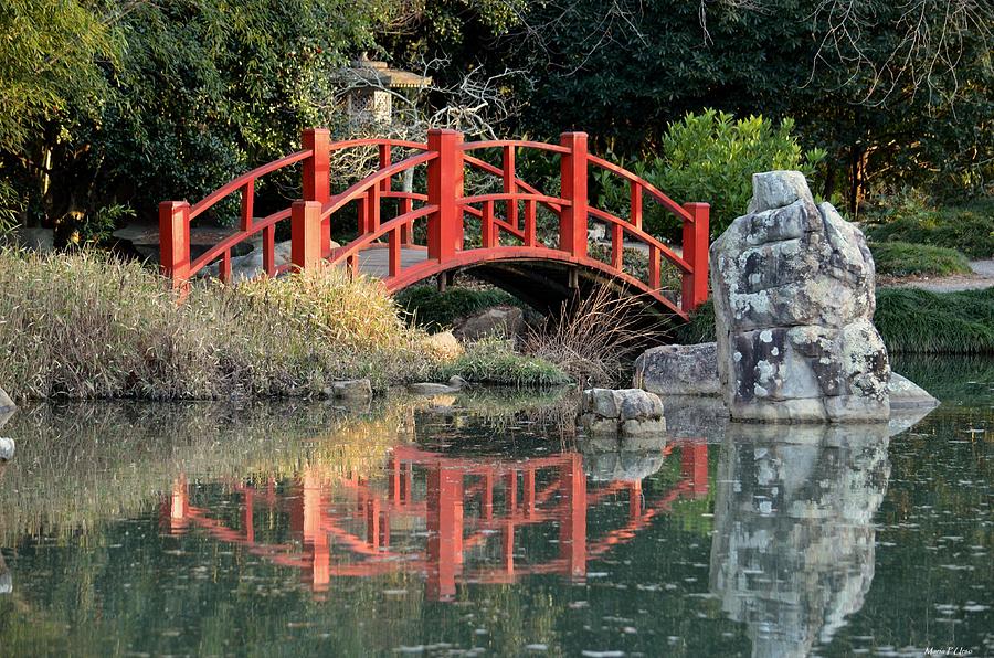 Japanese Bridge Front Photograph by Maria Urso