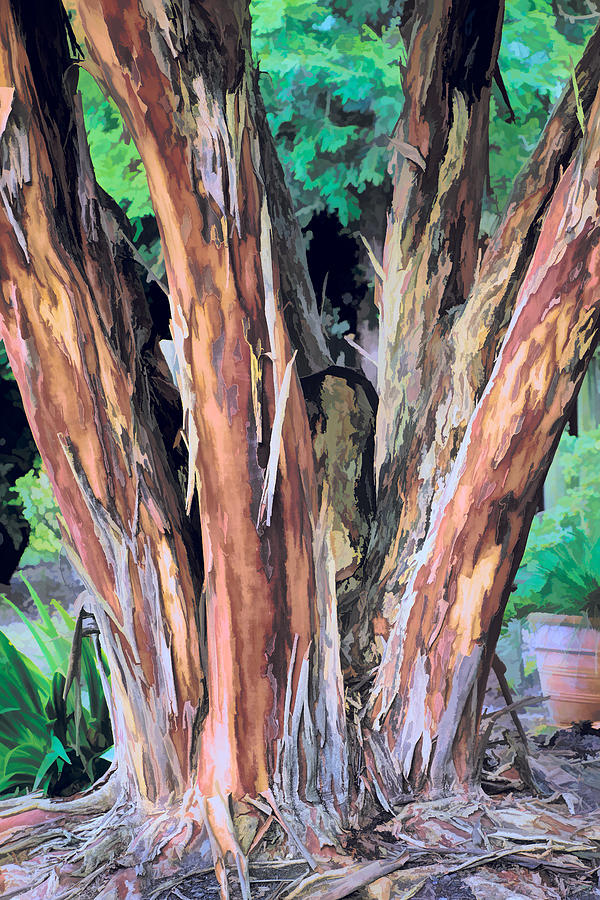 Japanese Crape Myrtle Tree Painting by Dan Carmichael