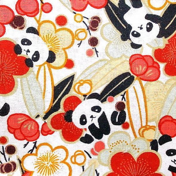 Flowers Still Life Photograph - Japanese Fabric Panda Plum Blossoms by Futoshi Takami