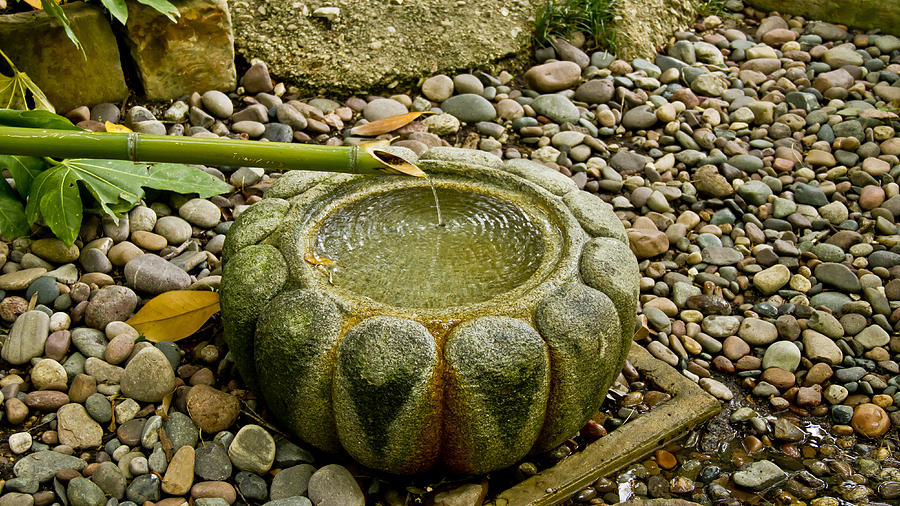 Japanese Fountain 2 Photograph by Paul Anderson