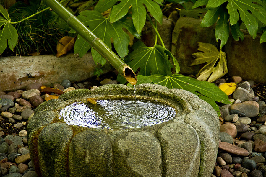 Japanese Fountain Photograph by Paul Anderson