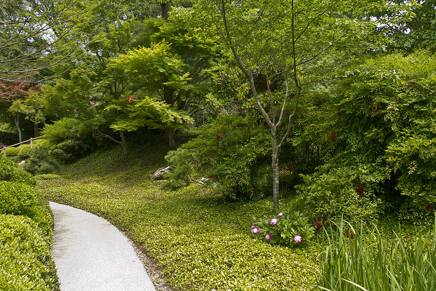 Japanese Garden 13 Photograph by Paul Anderson