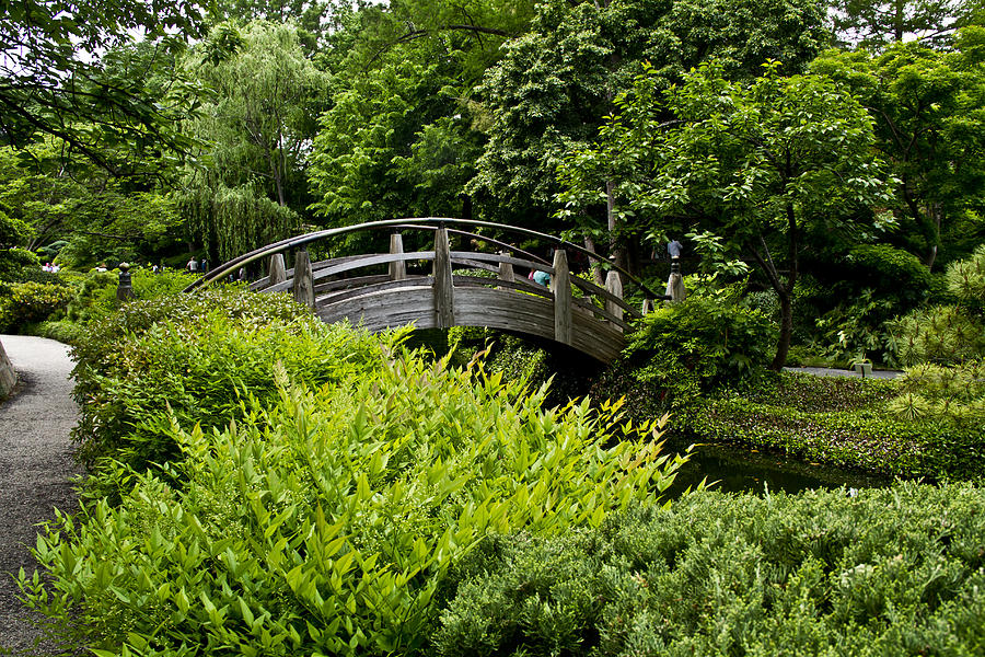 Japanese Garden 16 Photograph by Paul Anderson