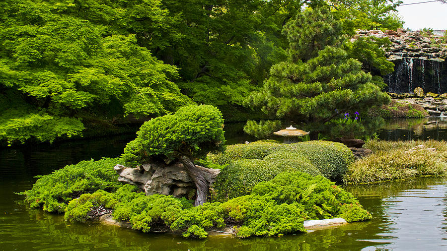 Japanese Garden 19 Photograph by Paul Anderson