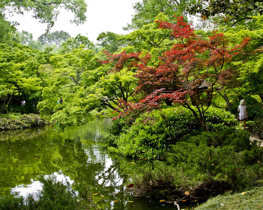 Japanese Garden 3 Photograph by Paul Anderson