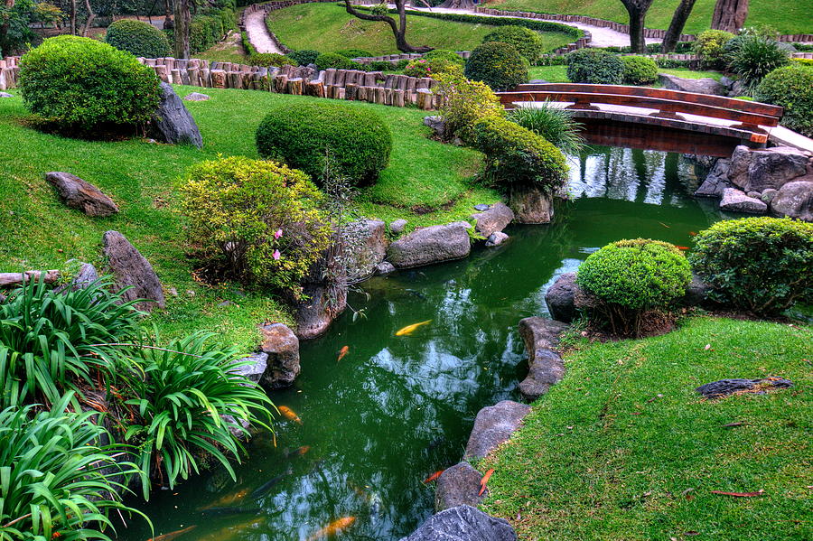 Japanese Garden 3 Photograph by Robert McKinstry