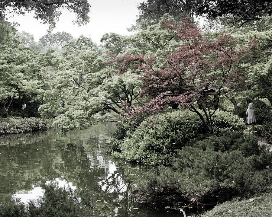 Japanese Garden 4 Photograph by Paul Anderson