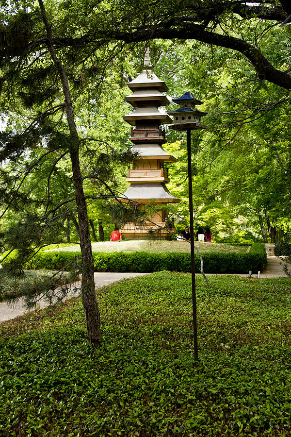Japanese Garden 9 Photograph by Paul Anderson