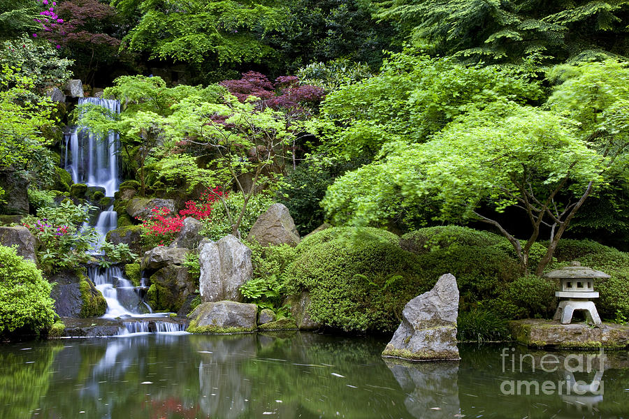 Japanese Garden Photograph by Brian Jannsen