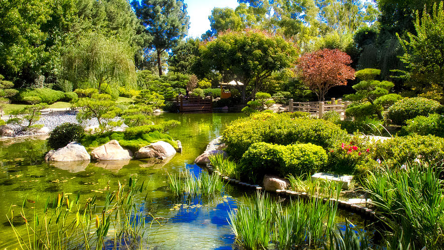 Landscape Photograph - Japanese Garden CSULB by Joseph Hollingsworth