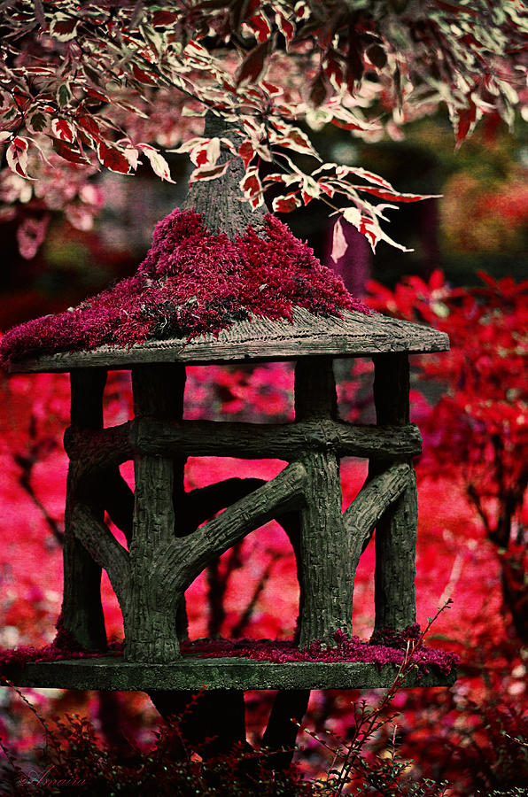 Japanese Garden In Red Photograph by Maria Angelica Maira
