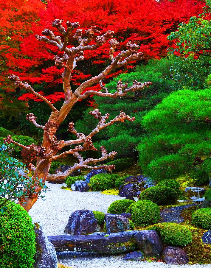 Japanese Garden Photograph by Julia Ivanovna Willhite