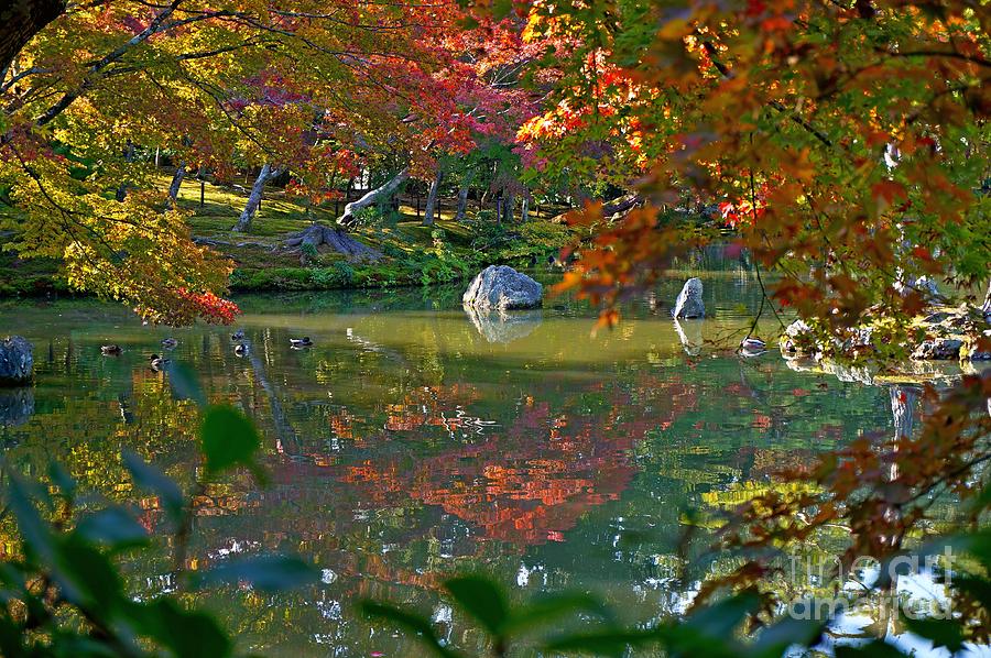 Japanese garden Kinkaku-ji Photograph by Sergey Reznichenko | Fine Art ...