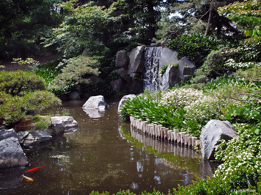 Japanese Garden Photograph by Lucinda Walter