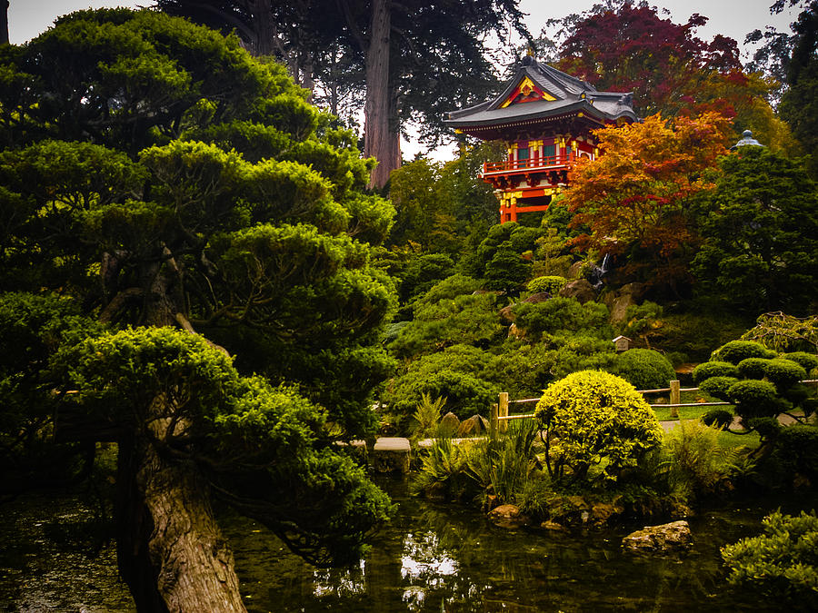Japanese Garden Photograph by Mark Llewellyn