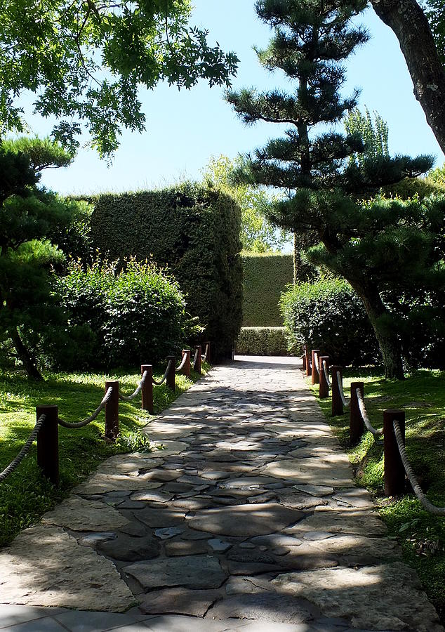 Hamilton Gardens Photograph - Japanese Garden Path by Guy Pettingell