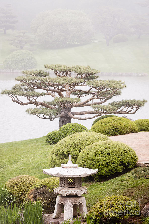 Japanese Garden Photograph by Patty Colabuono