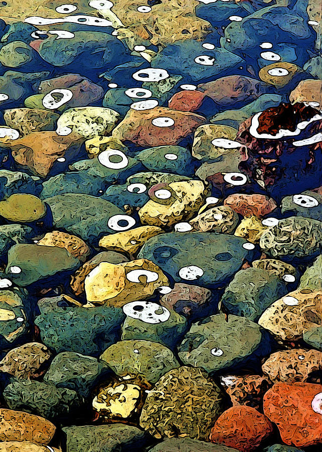Japanese Garden Pool Rocks Digital Art by Gary Olsen-Hasek