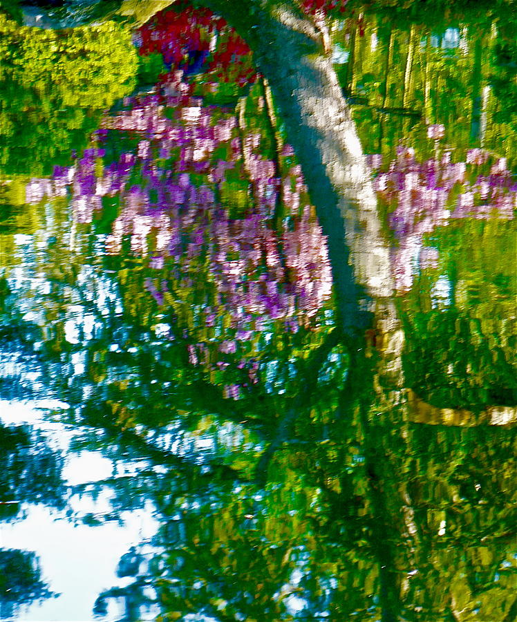 Japanese Garden Reflection Photograph by Jean Wright