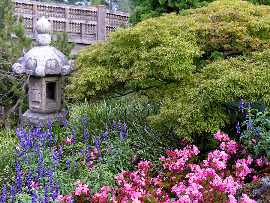 Japanese Garden Photograph by Robert Lozen
