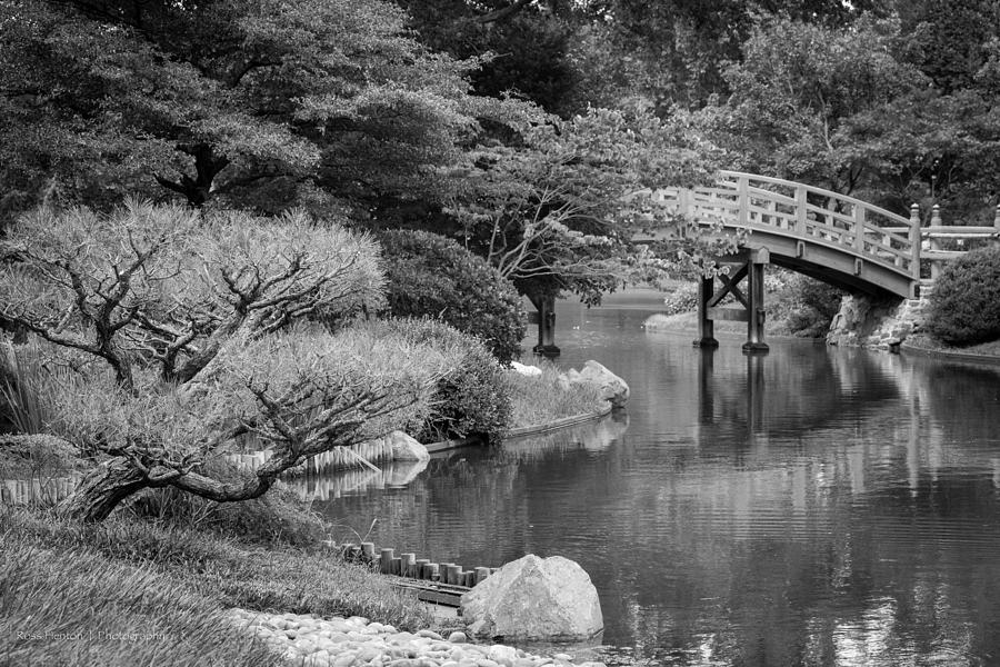 Japanese Garden Photograph by Ross Henton