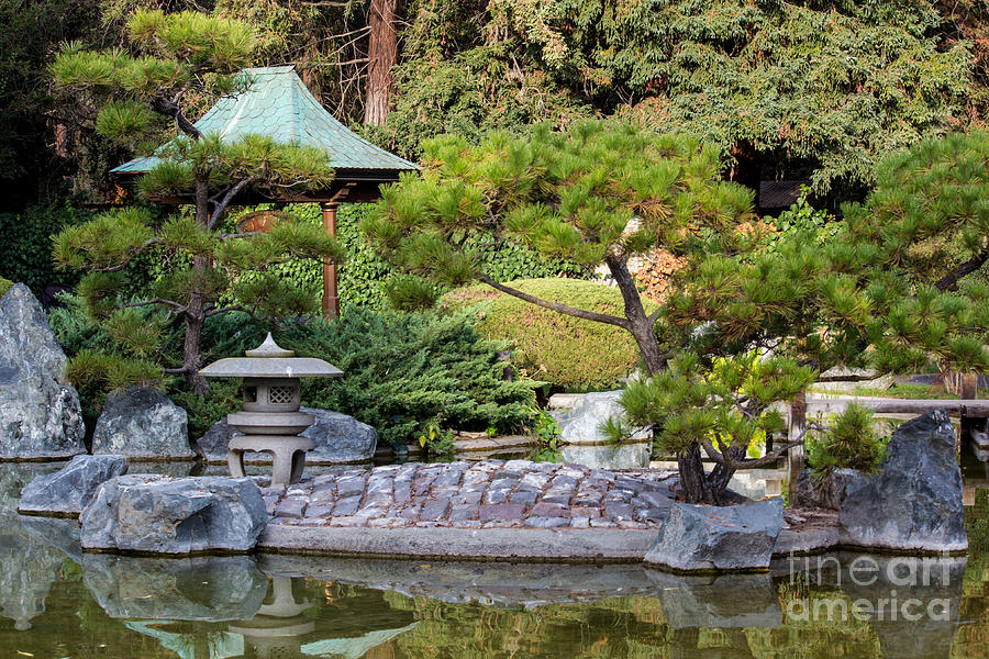 Japanese Garden San Jose Photograph By Suzanne Luft