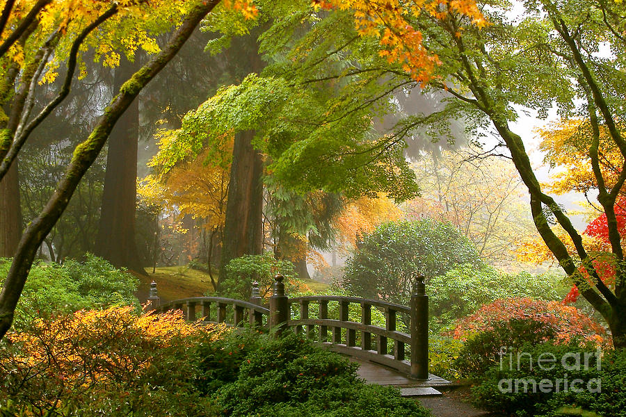Landscape Photograph - Japanese Garden Scene by Debra Orlean