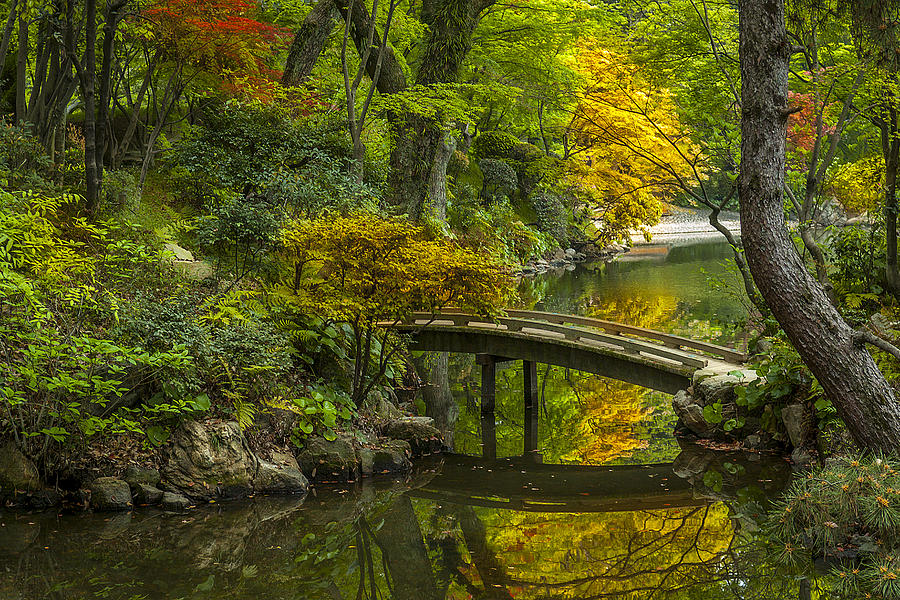 Japan Photograph - Japanese Garden by Sebastian Musial