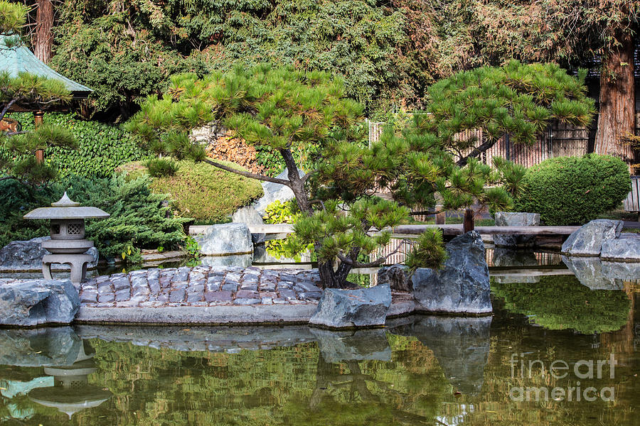 Japanese Garden Photograph by Suzanne Luft