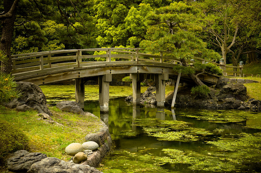 Japanese Garden Tokyo Photograph by Sebastian Musial
