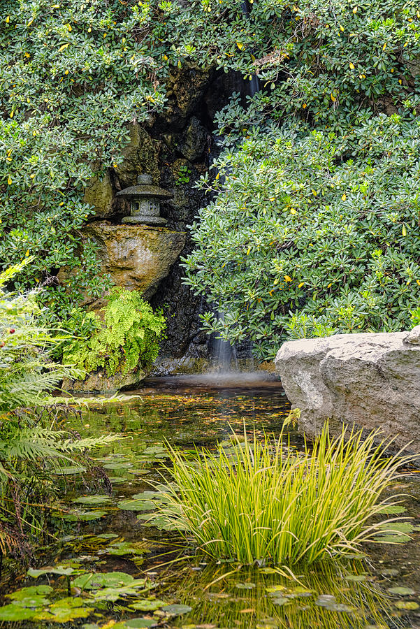 Japanese Garden Tranquility - Zilker Garden Austin Texas Photograph by Silvio Ligutti