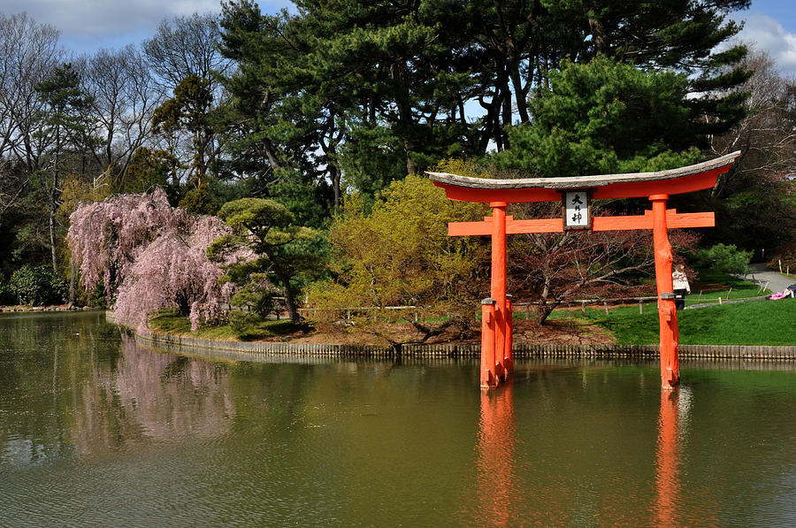 Japanese Garden with orange arch Photograph by Diane Lent