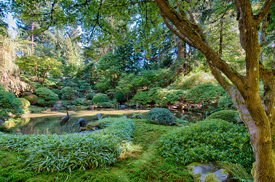 Japanese Garden Zen 2 - Washington Park - Portland Oregon Photograph by Bruce Friedman