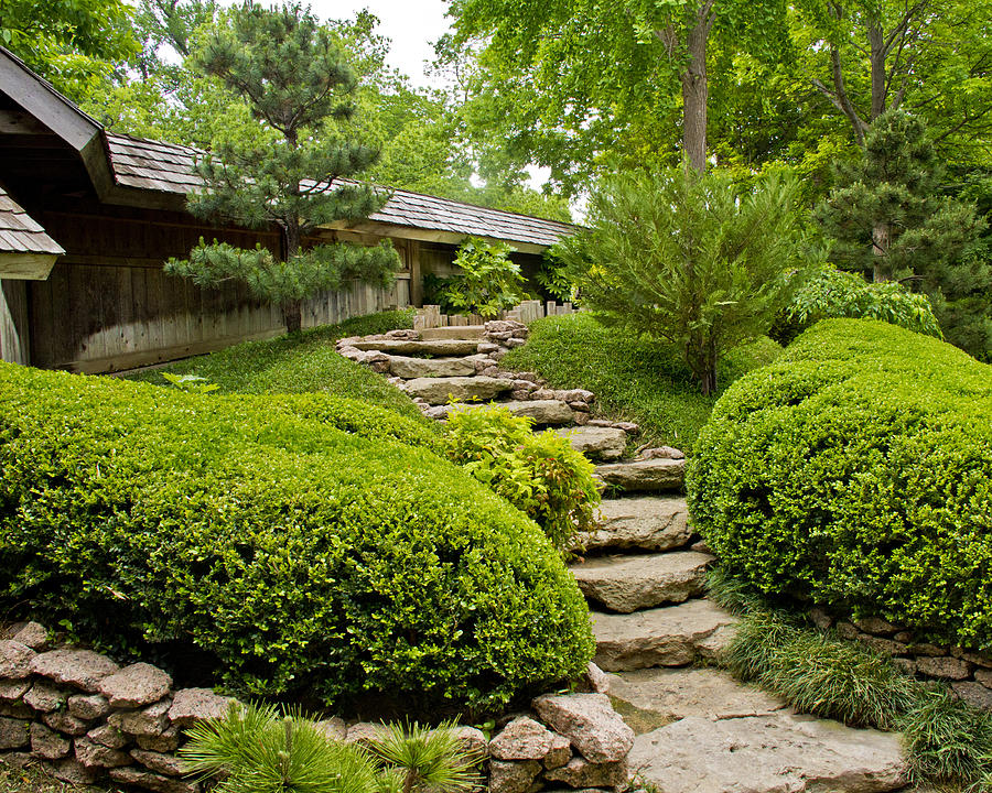 Japanese Gardens 1 Photograph by Paul Anderson