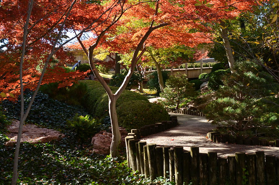 Japanese Gardens 9554 Photograph by Ricardo J Ruiz de Porras