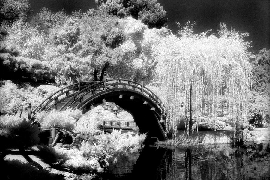 Japanese Gardens and Bridge Photograph by Paul W Faust -  Impressions of Light