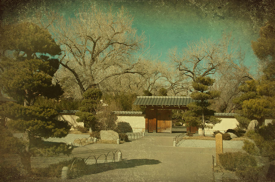 Japanese gardens Photograph by Carolyn DAlessandro