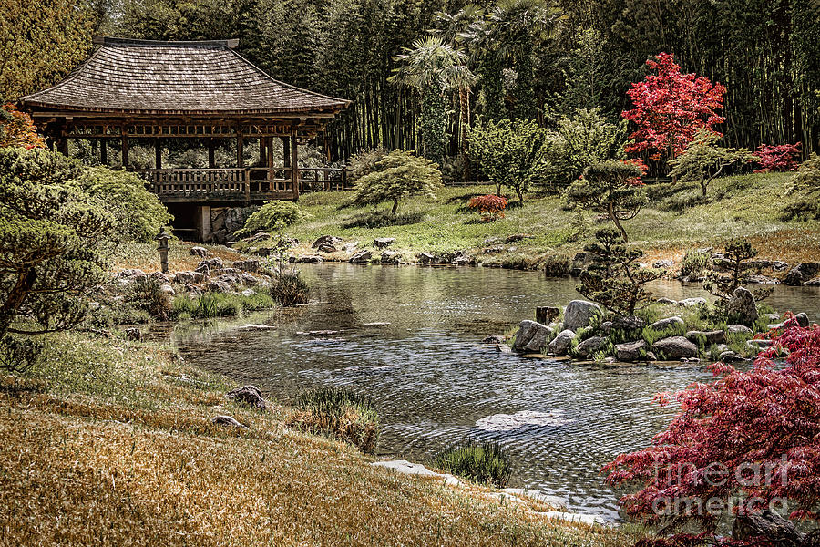 Flower Photograph - Japanese Gardens by Catherine Arnas