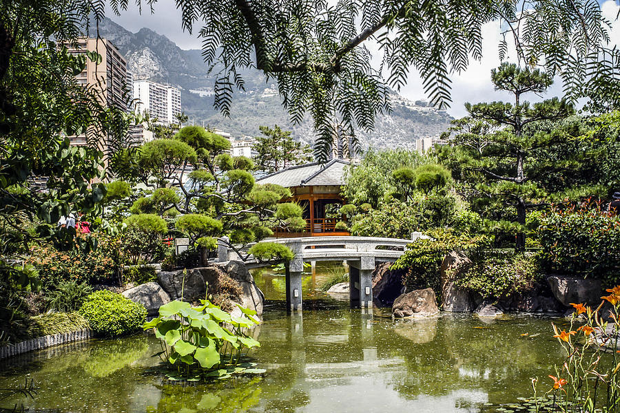 Japanese gardens Photograph by Chris Smith
