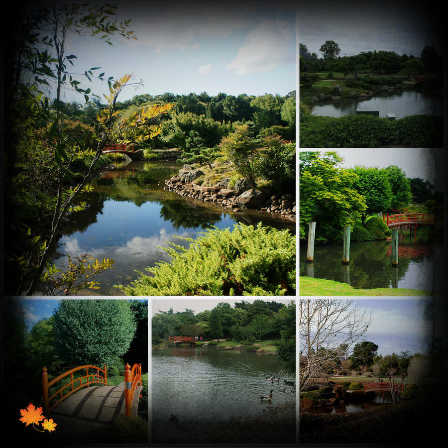 Japanese Gardens Collage Photograph by Therese Alcorn