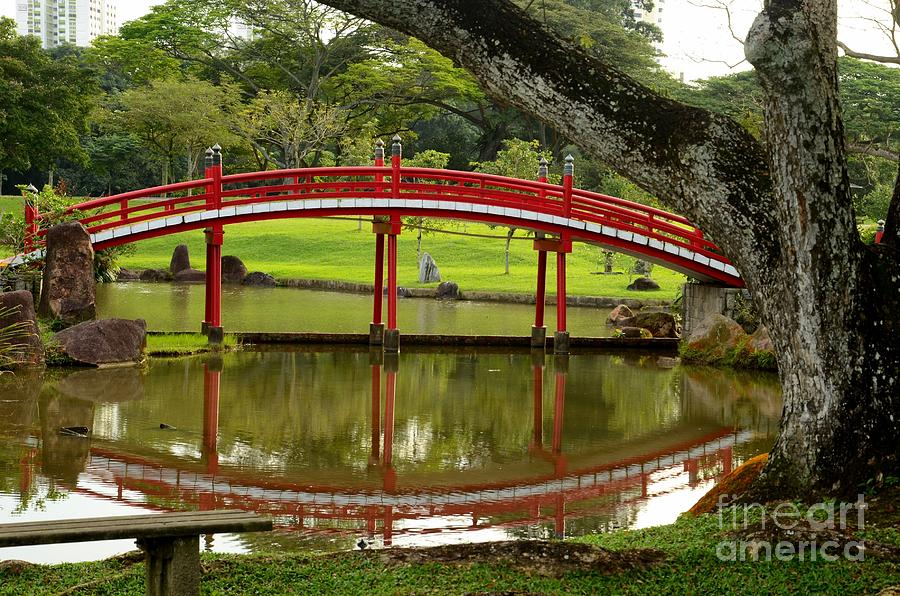 Japanese Gardens red bridge and reflection in pond with tree Photograph by Imran Ahmed