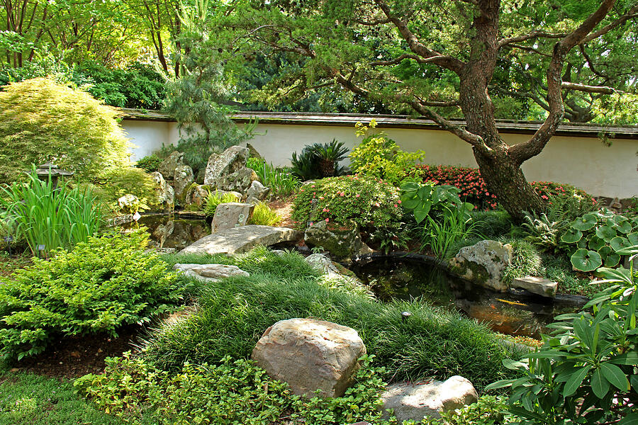 Japanese Gardens Photograph by Richard Krebs