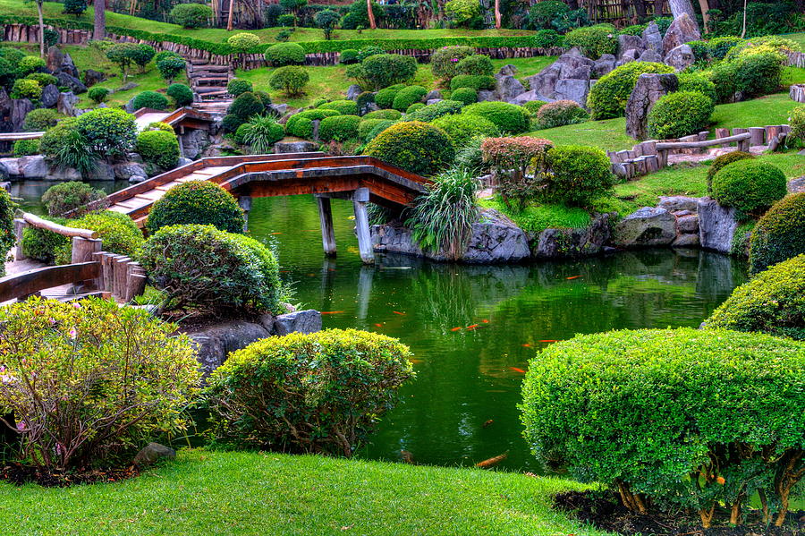 Japanese Gardens Photograph by Robert McKinstry