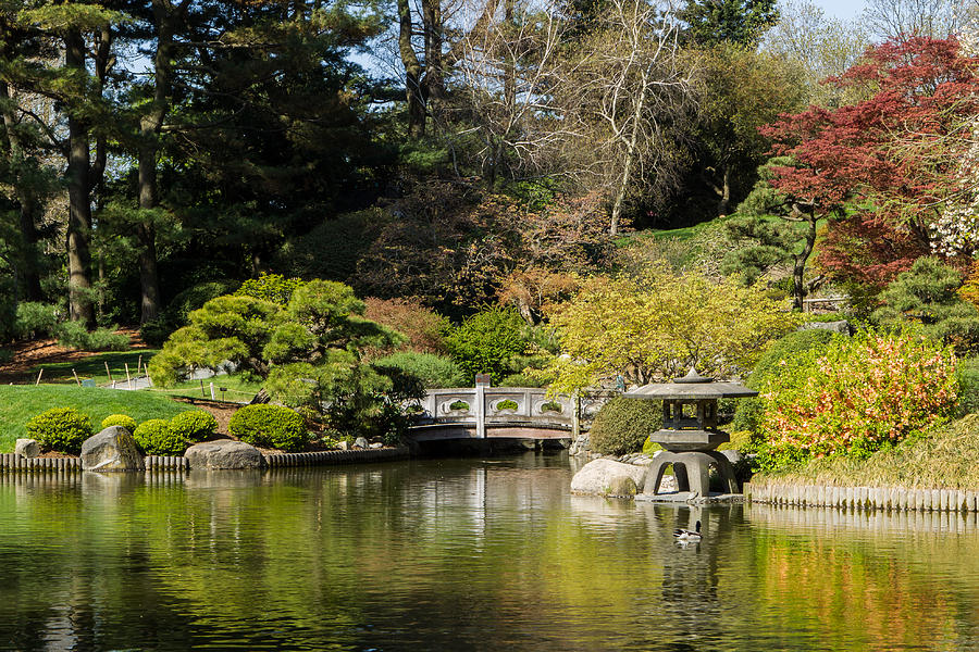 Japanese Hill-and-Pond Garden 2 Photograph by Dave Hahn - Fine Art America